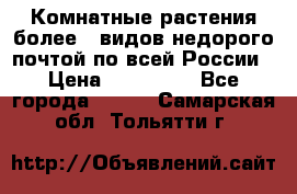 Комнатные растения более200видов недорого почтой по всей России › Цена ­ 100-500 - Все города  »    . Самарская обл.,Тольятти г.